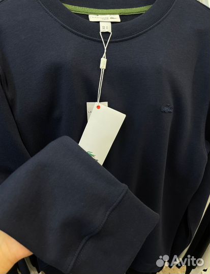 Свитшот Lacoste