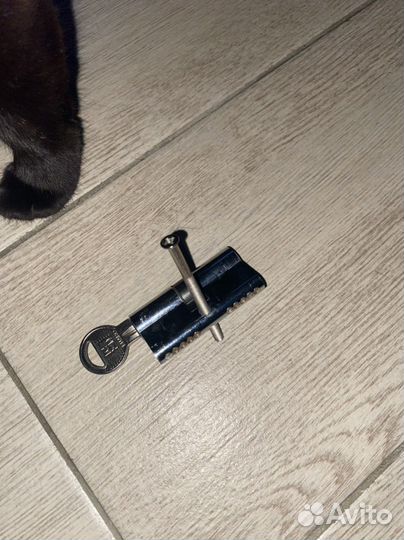 Личинка замка входной двери