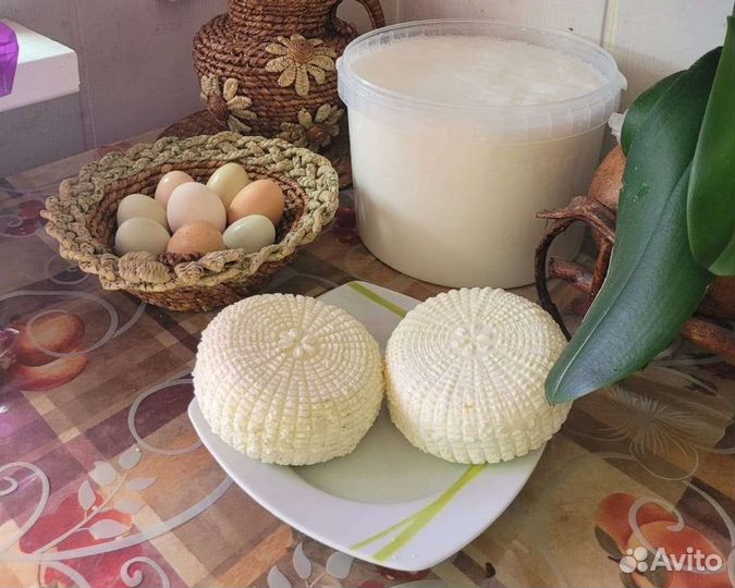 Сыр Адыгейский, козье молоко, сыворотка