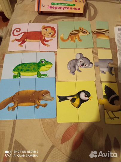 Зверопутаница