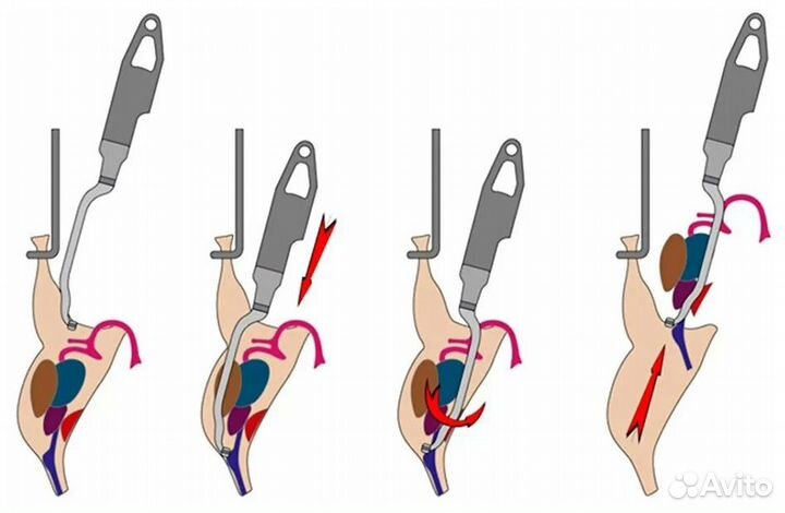 Вилка для потрошения кур, бройлеров, уток, гусей