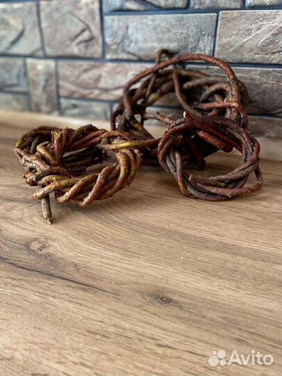 Лоза(лиана) лимонника