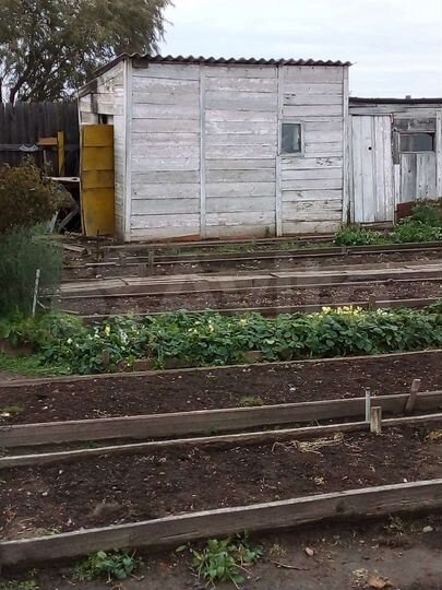 Дача 20 м² на участке 12 сот.