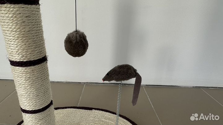 Когтеточка для кошек