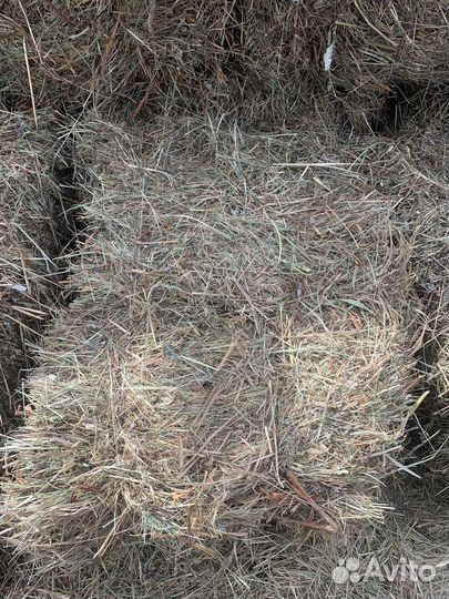 Сено в тюках