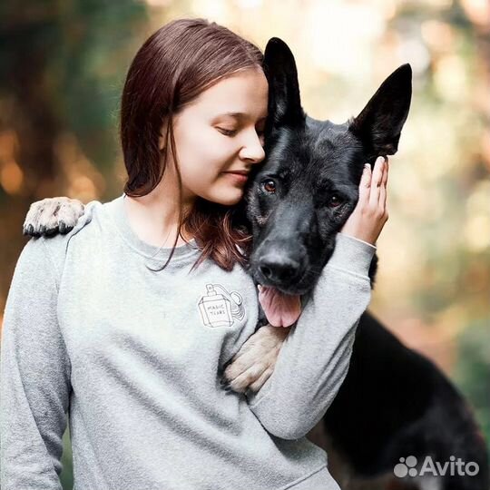 Услуга Кинолога