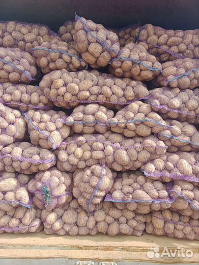 Картофель с доставкой на дом