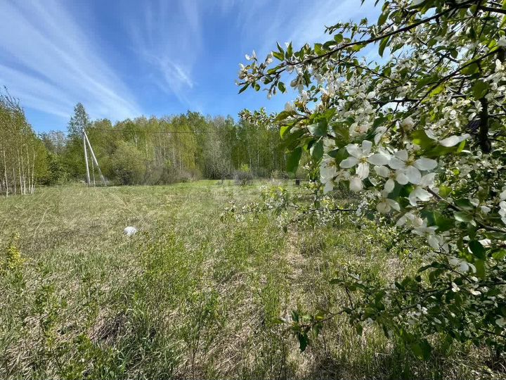 Участок 10,2 сот. (СНТ, ДНП)