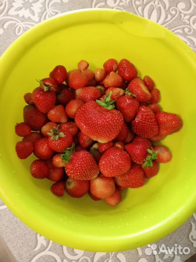 Продам клубнику