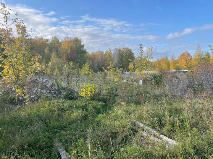 Участок 10 сот. (ИЖС)