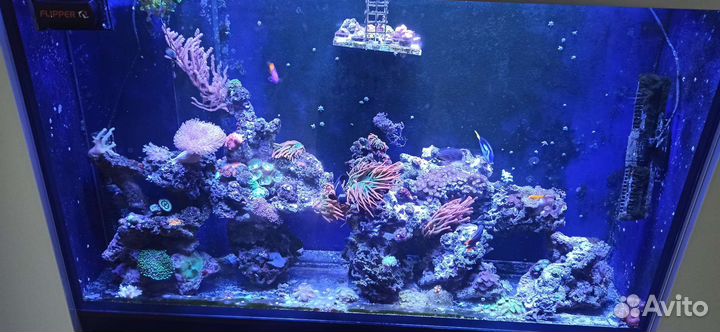 Уход за аквариумом