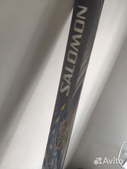 Горные лыжи