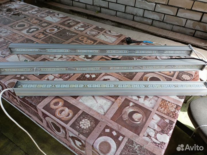 Фитолампы для растений