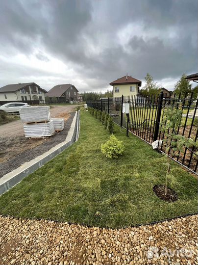 Рулонный газон высокого качества