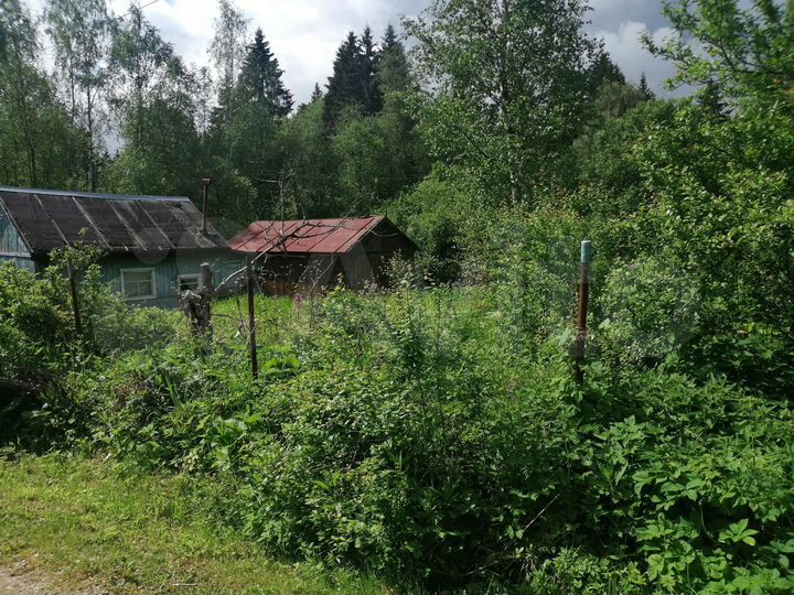 Участок 7,1 сот. (СНТ, ДНП)