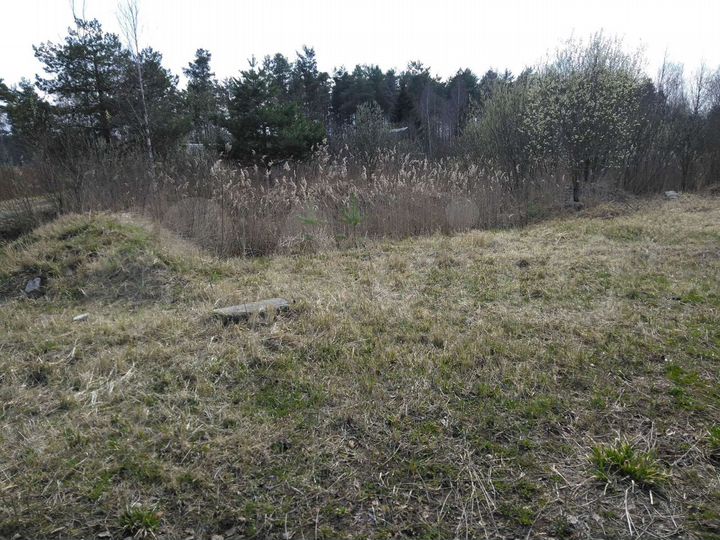 Участок 8 сот. (СНТ, ДНП)