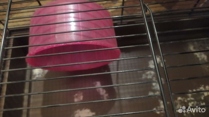 Клетка для грызунов