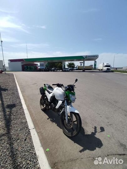 Рейсер нитро 250