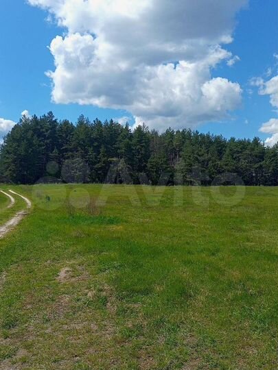 Участок 15 сот. (ИЖС)