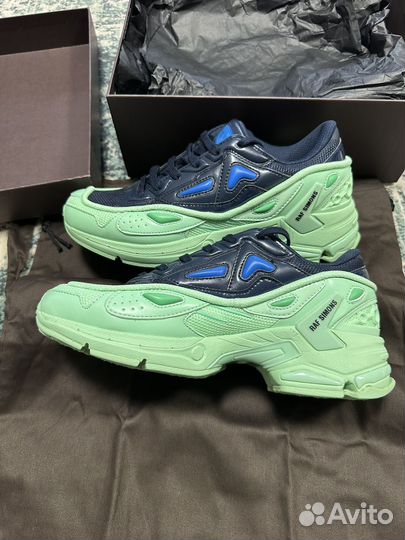 Raf Simons runner Pharaxus Sneakers in Green