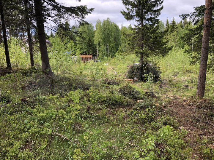 Участок 16 сот. (СНТ, ДНП)