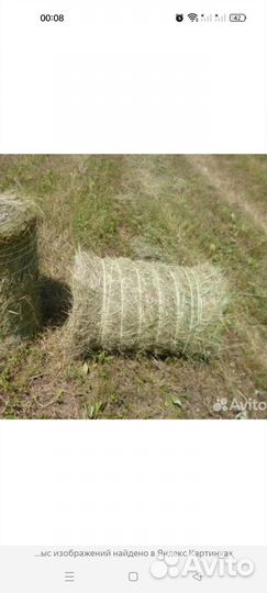 Продам сено в тюках