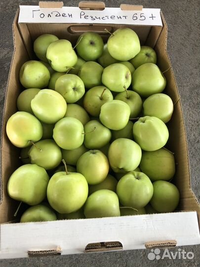 Яблоки Оптом