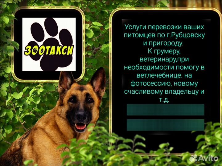 Зоотакси,перевозка С животными