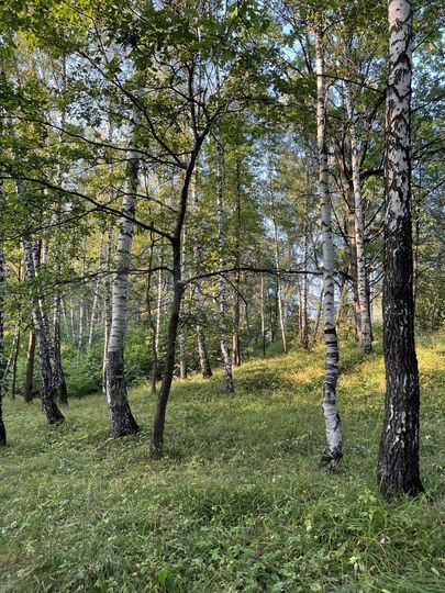 Участок 12,2 сот. (ИЖС)