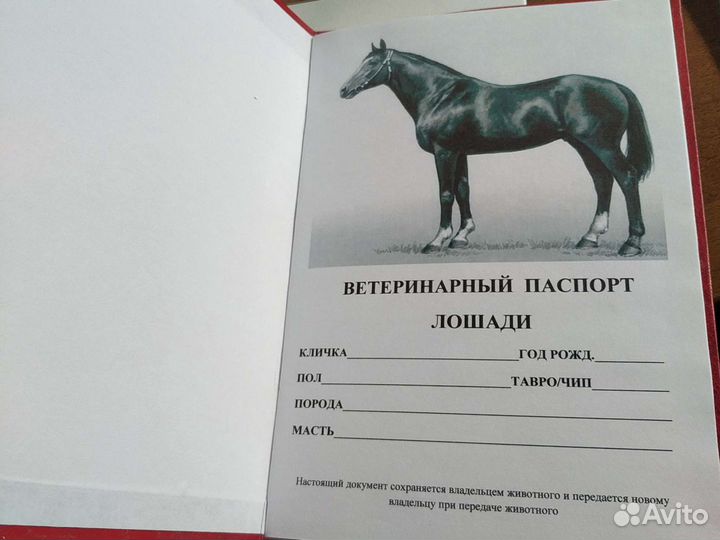 Ветеринарный паспорт лошади
