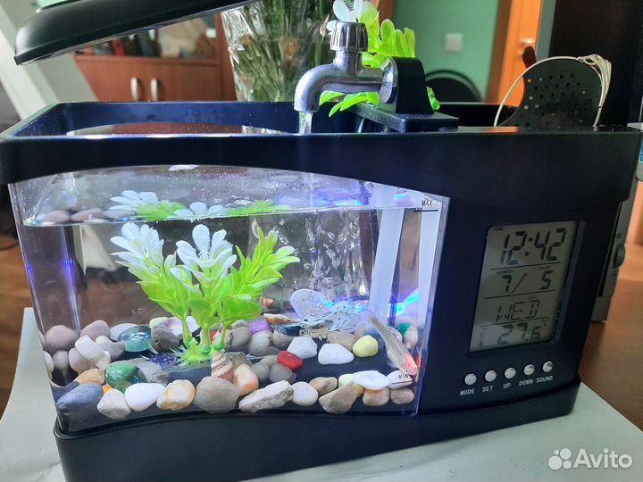 Многофункциональный аквариум