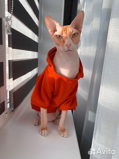 Одежда для животных Худи с флисом