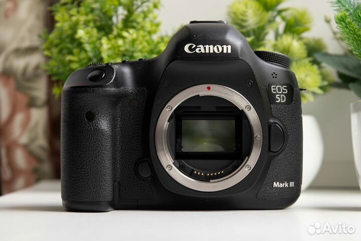 Canon 5D Mark III (Пробег 40 тысяч)