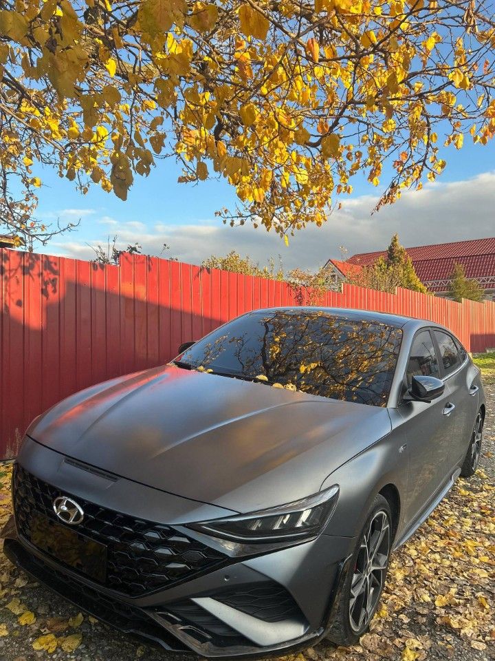 Hyundai Lafesta: фото владельца