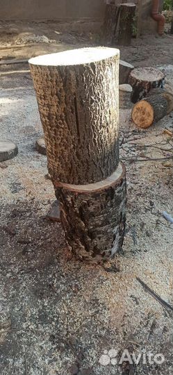 Слэбы, спилы, пеньки, столы