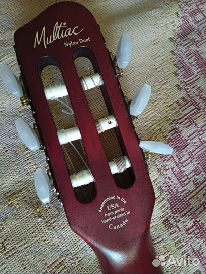 Godin MultiAc Nylon Duet