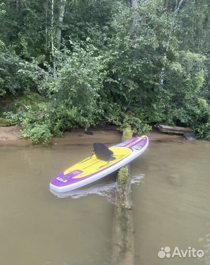 Аренда SAP board сап бордов