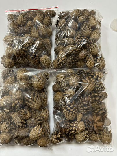 Шишки сосновые