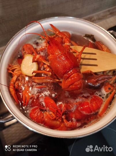 Живые и Вареные Раки