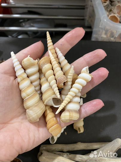 017 - Набор природных материалов