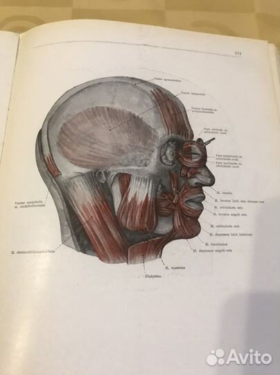 Медицинские книги. Практика врача. 1913 год и СССР