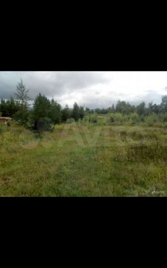 Участок 12 сот. (СНТ, ДНП)