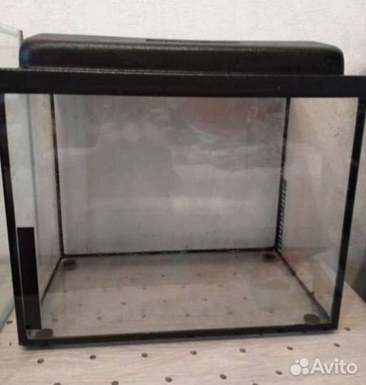 Аквариум, рыбки