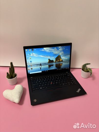 Lenovo ThinkPad T495