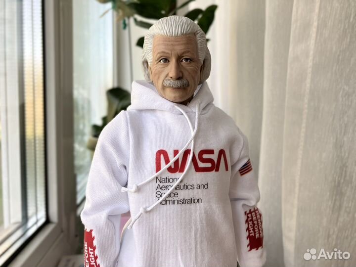 Голова Альберта Эйнштейна 1:6