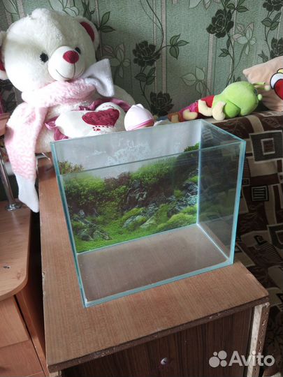 Аквариум