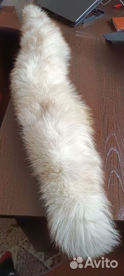 Шкура белого песца 130 см