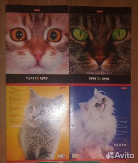 Тетради, альбомы