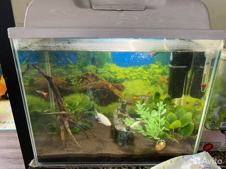 Аквариум