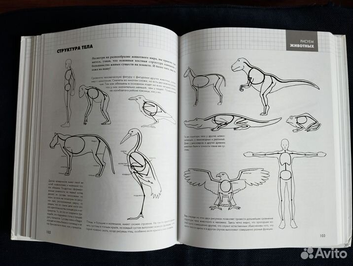 Рисуют все Полный курс рисования для начинающих